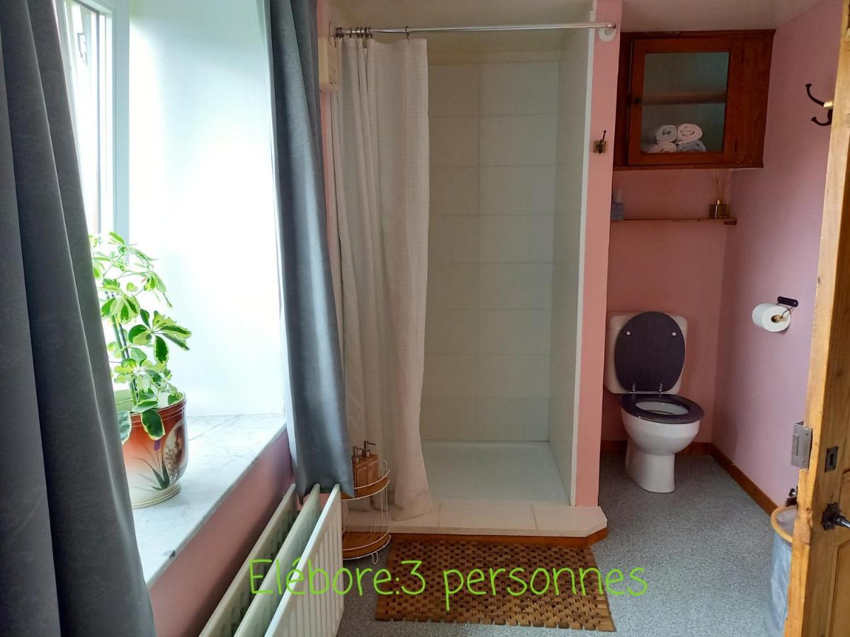Le Wayai Apartment Sart-lez-Spa Ngoại thất bức ảnh